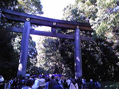 torii.jpg